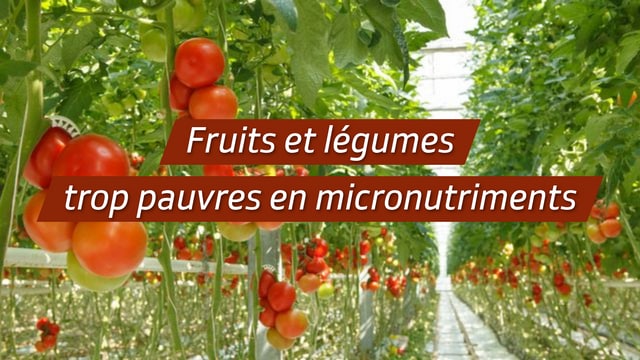 Fruits et légumes trop pauvres en micronutriments