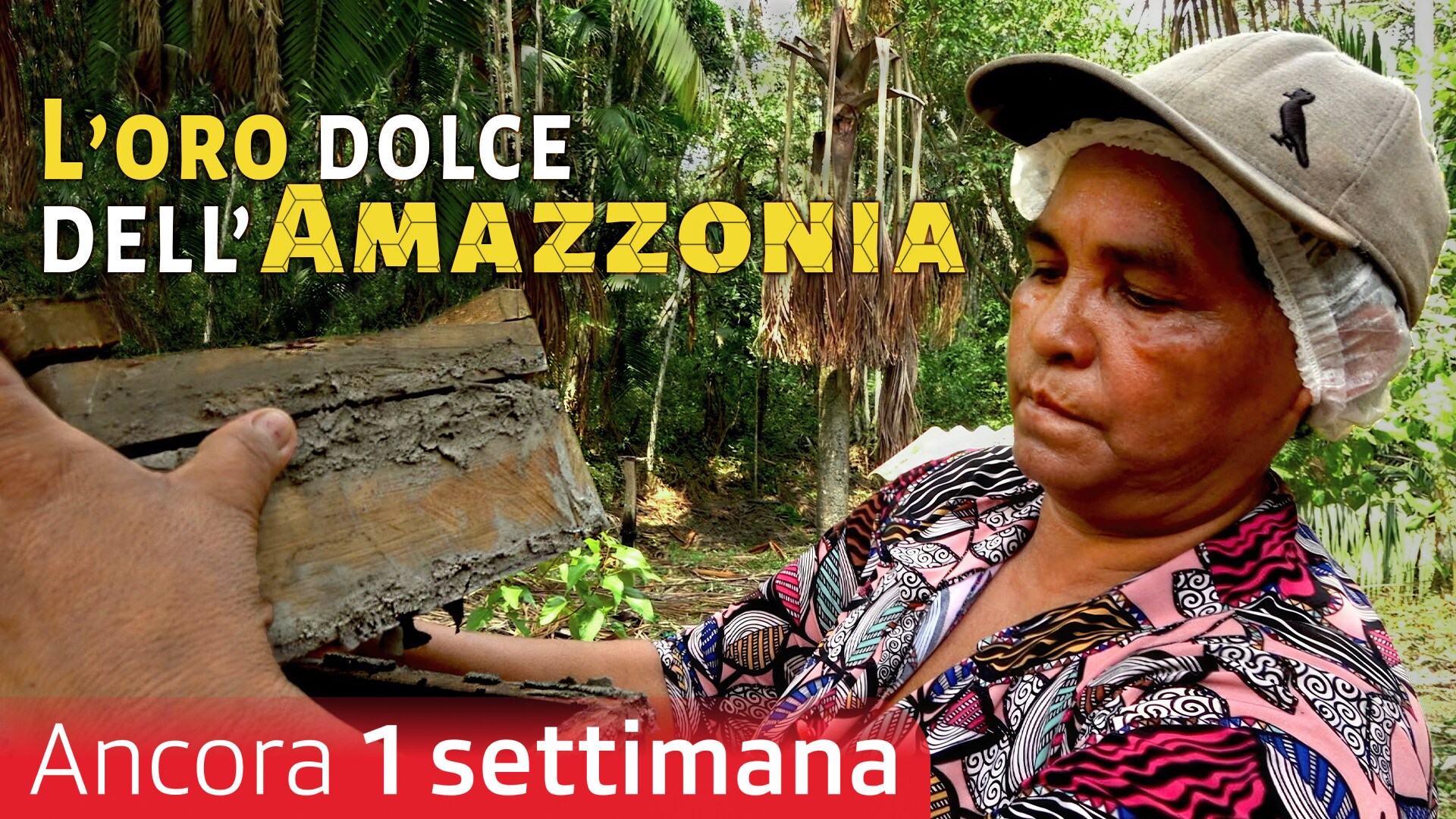 L'oro dolce dell'Amazzonia