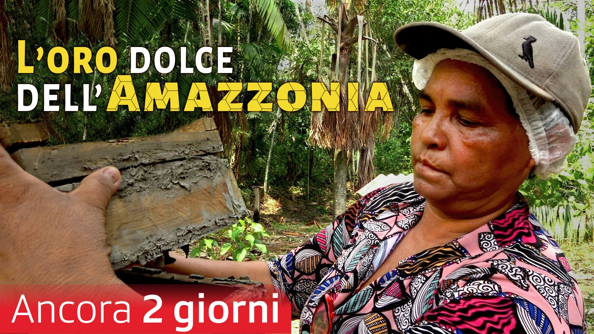 L'oro dolce dell'Amazzonia