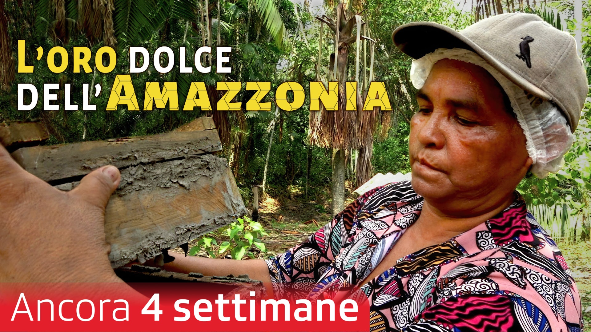 L'oro dolce dell'Amazzonia