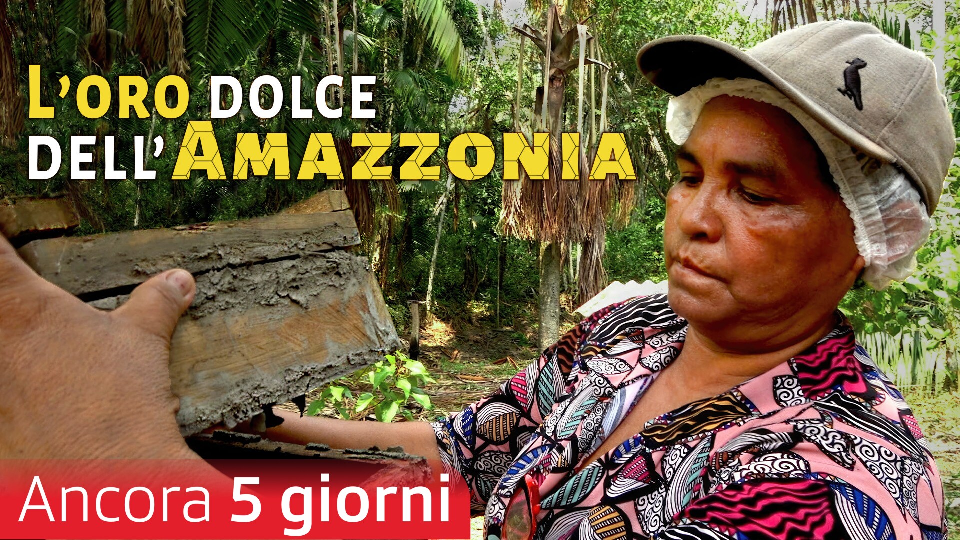 L'oro dolce dell'Amazzonia