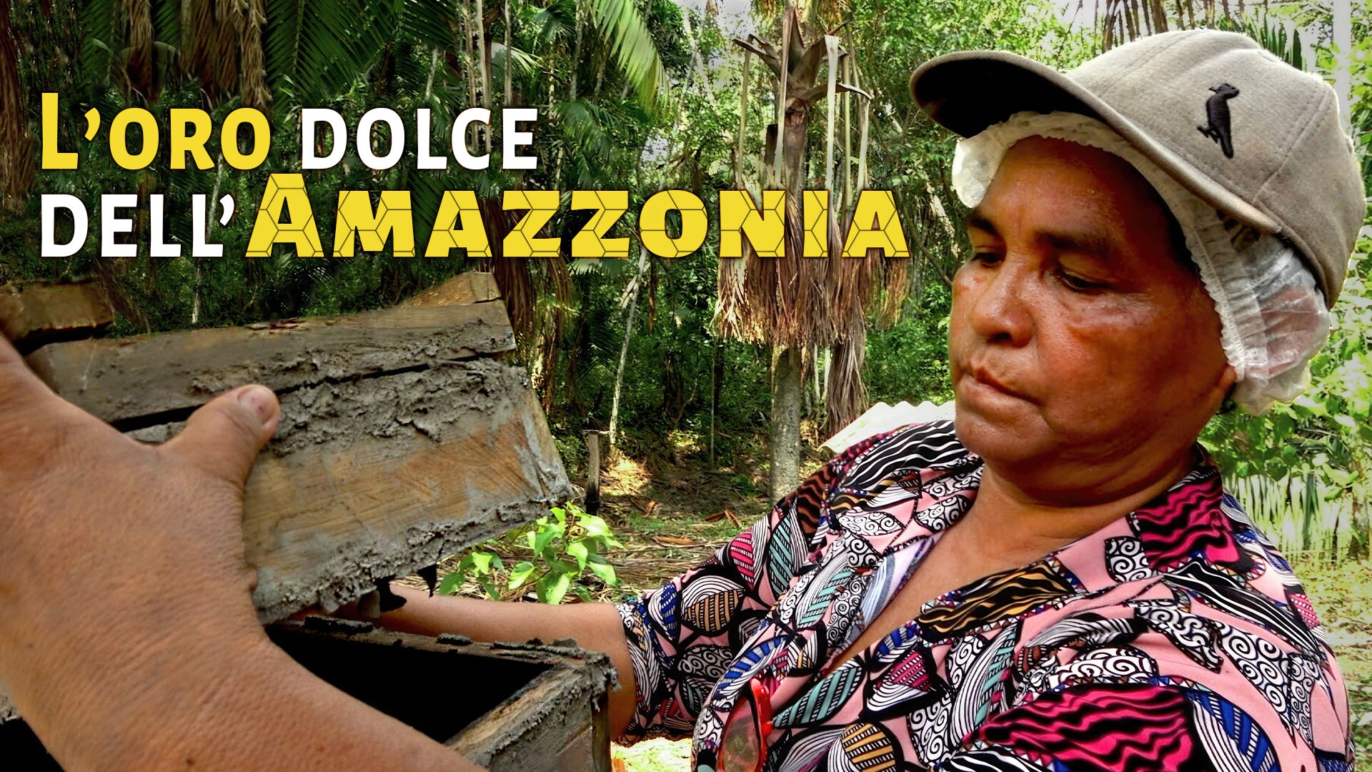 L'oro dolce dell'Amazzonia