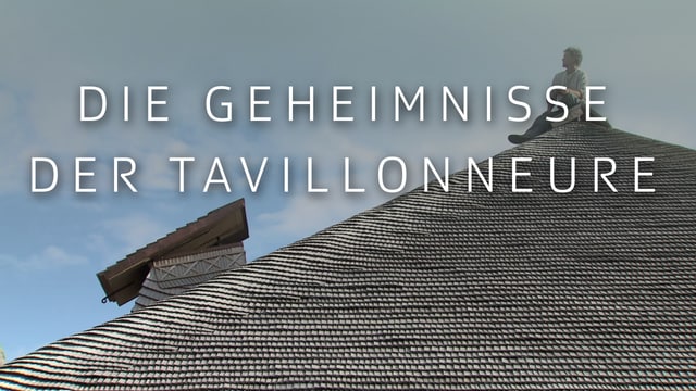 Die Geheimnisse der Tavillonneure