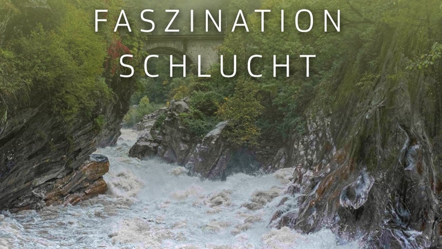 Faszination Schlucht