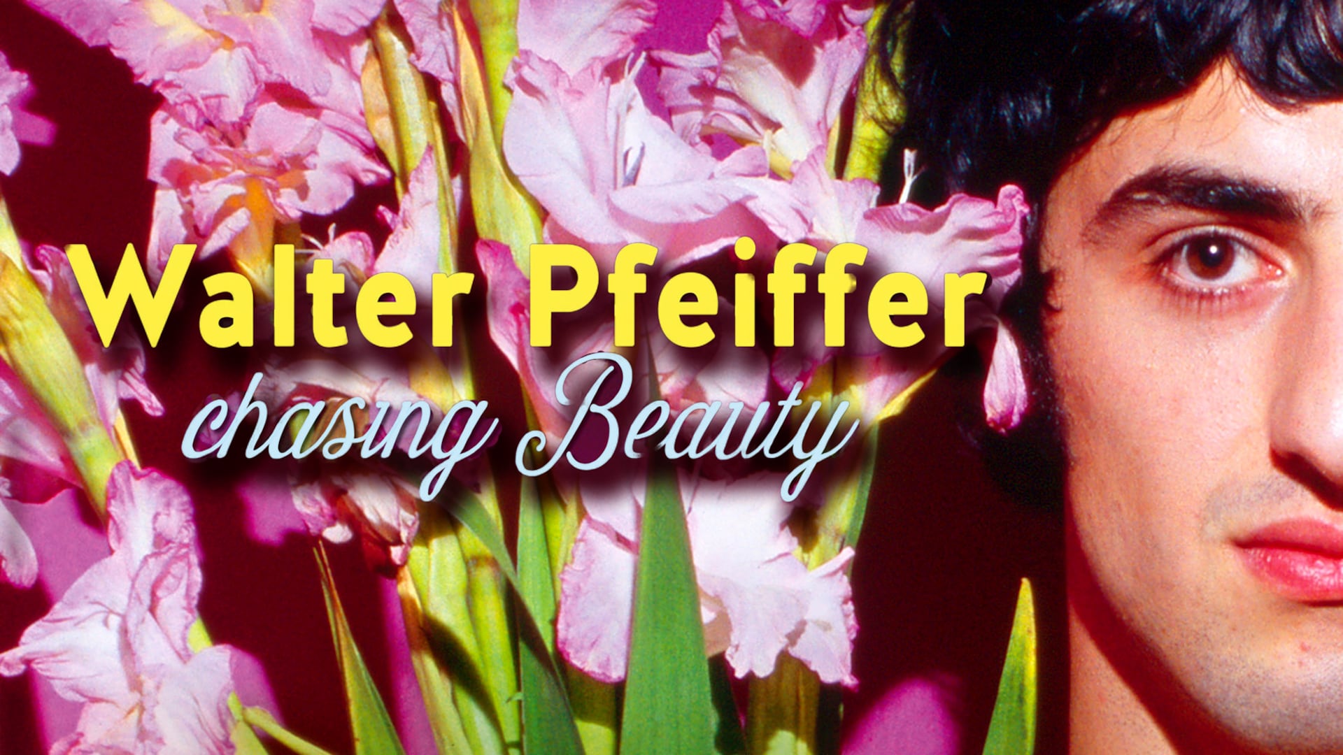 Walter Pfeiffer: Chasing Beauty