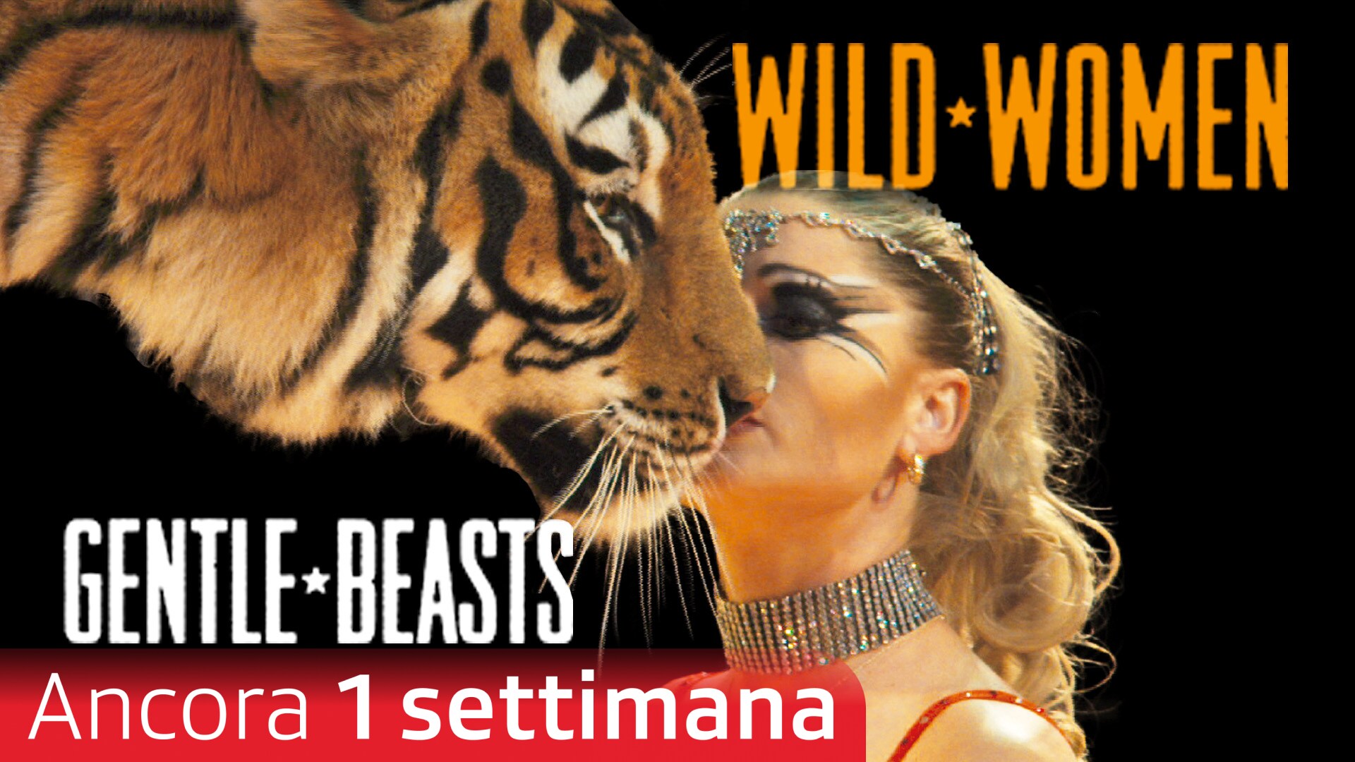 Wild Women - Gentle Beasts