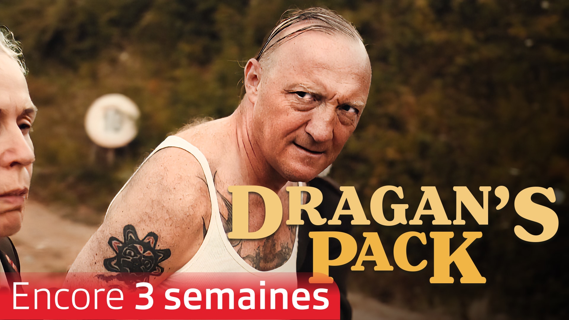 Dragan's Pack