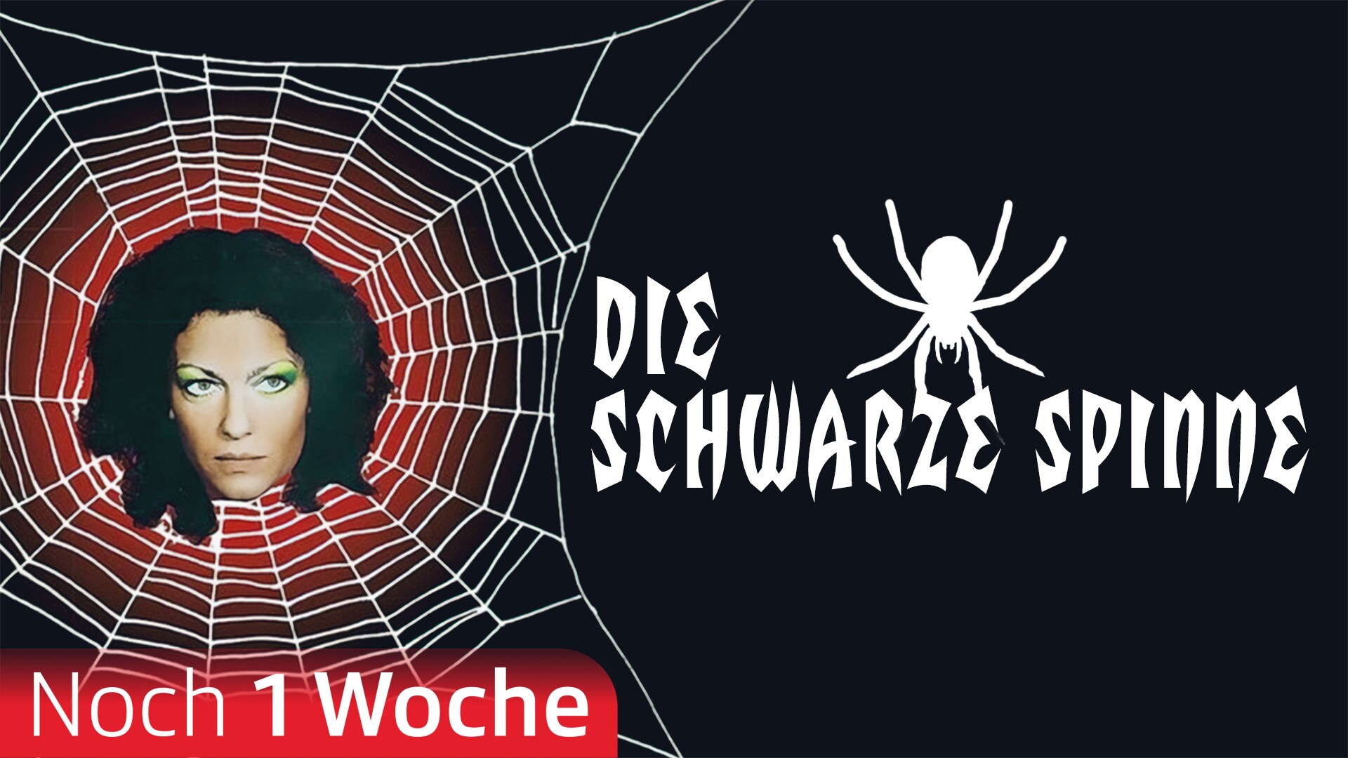 Die schwarze Spinne