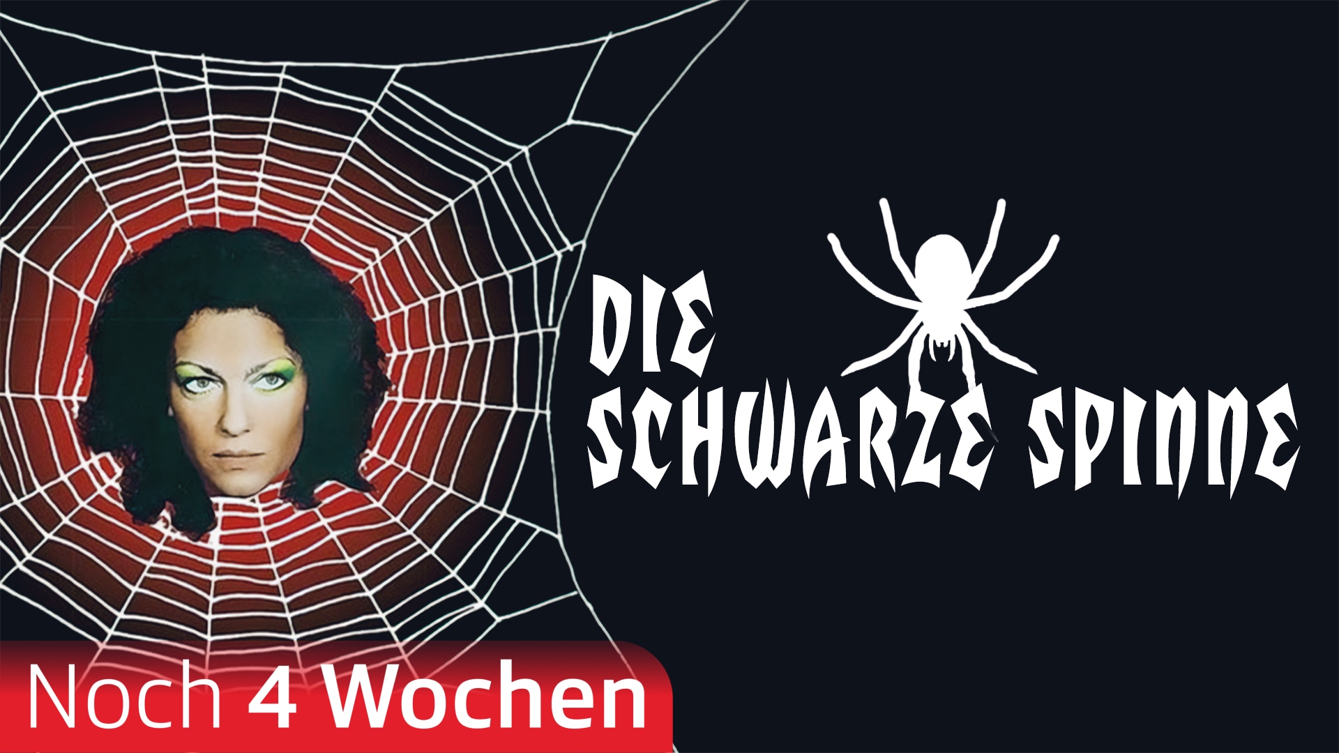 Die schwarze Spinne