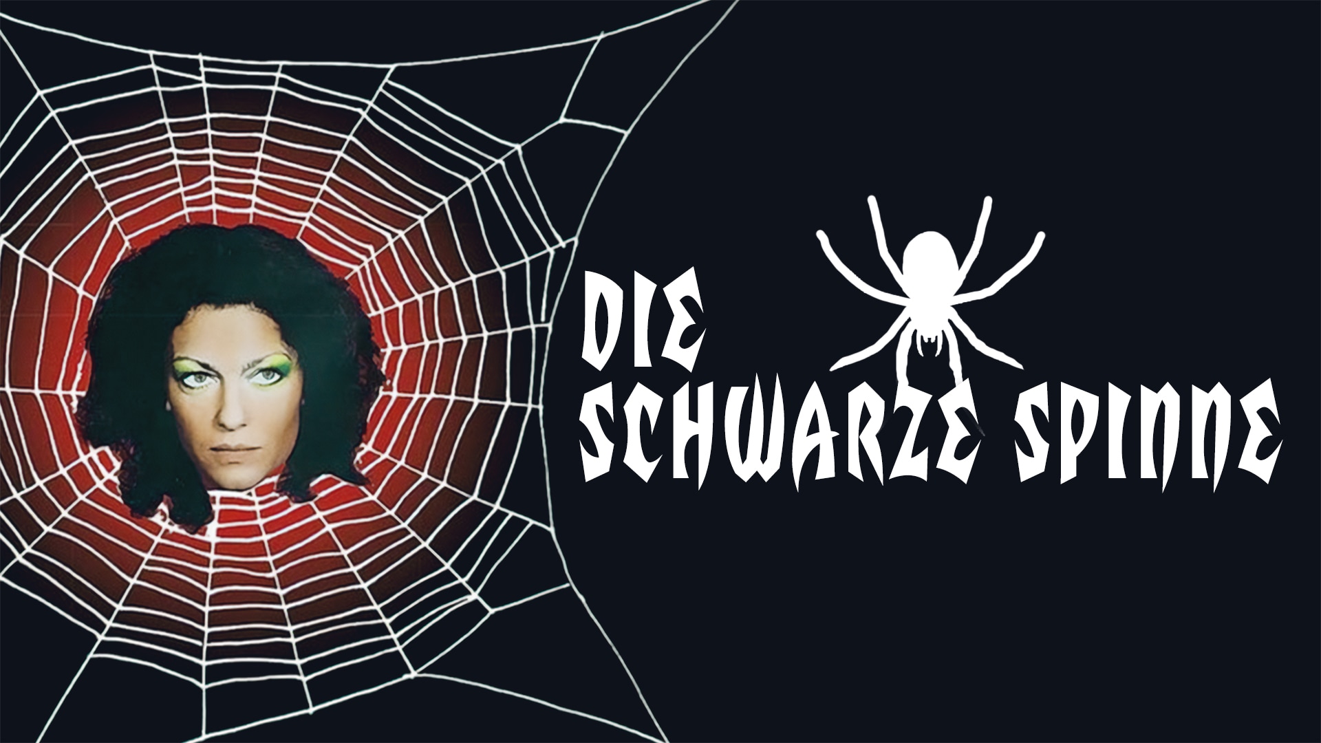 Die schwarze Spinne