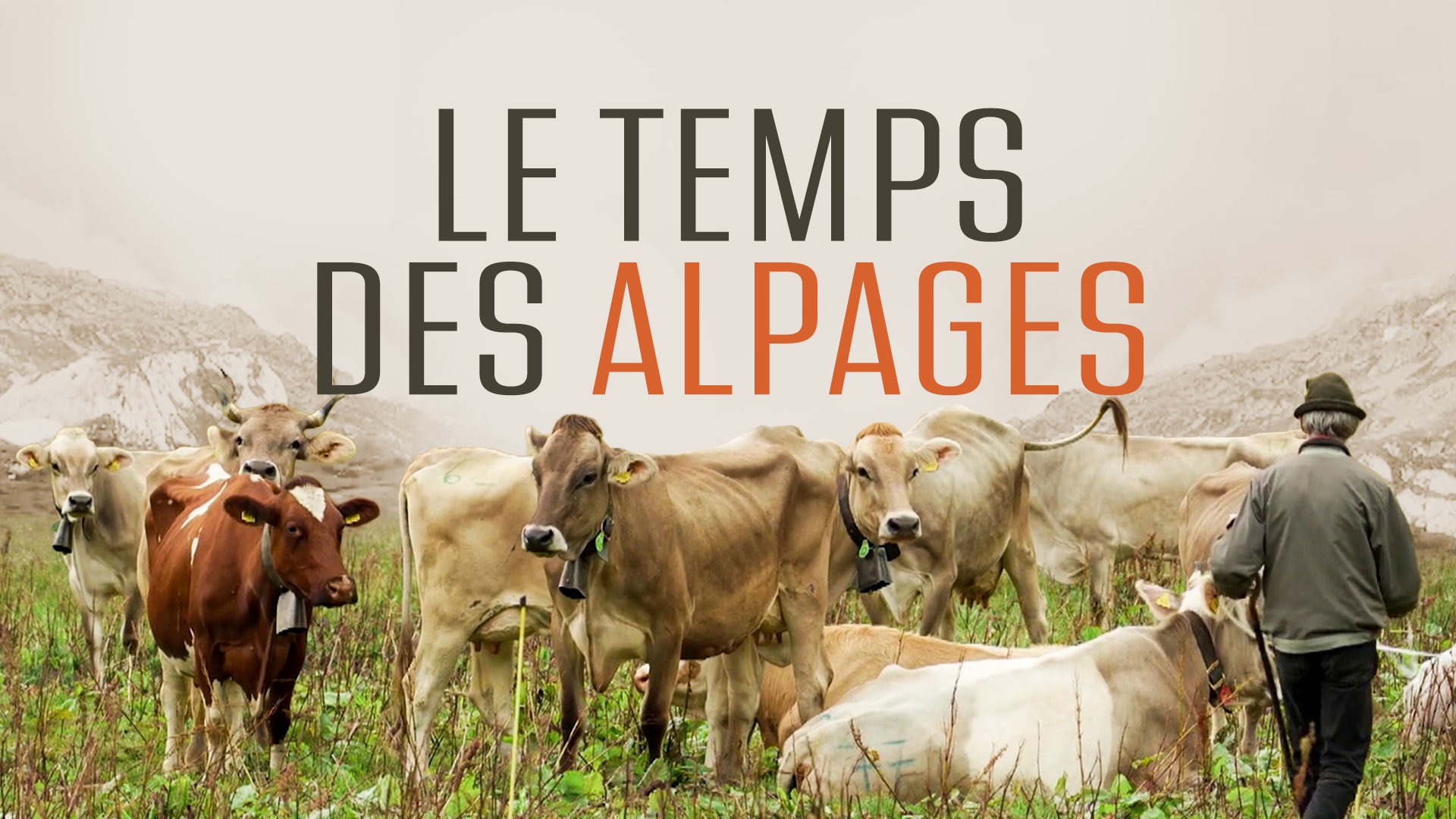 Le temps des alpages