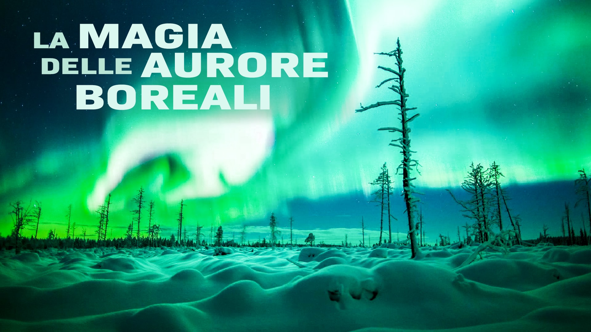 La magia delle aurore boreali