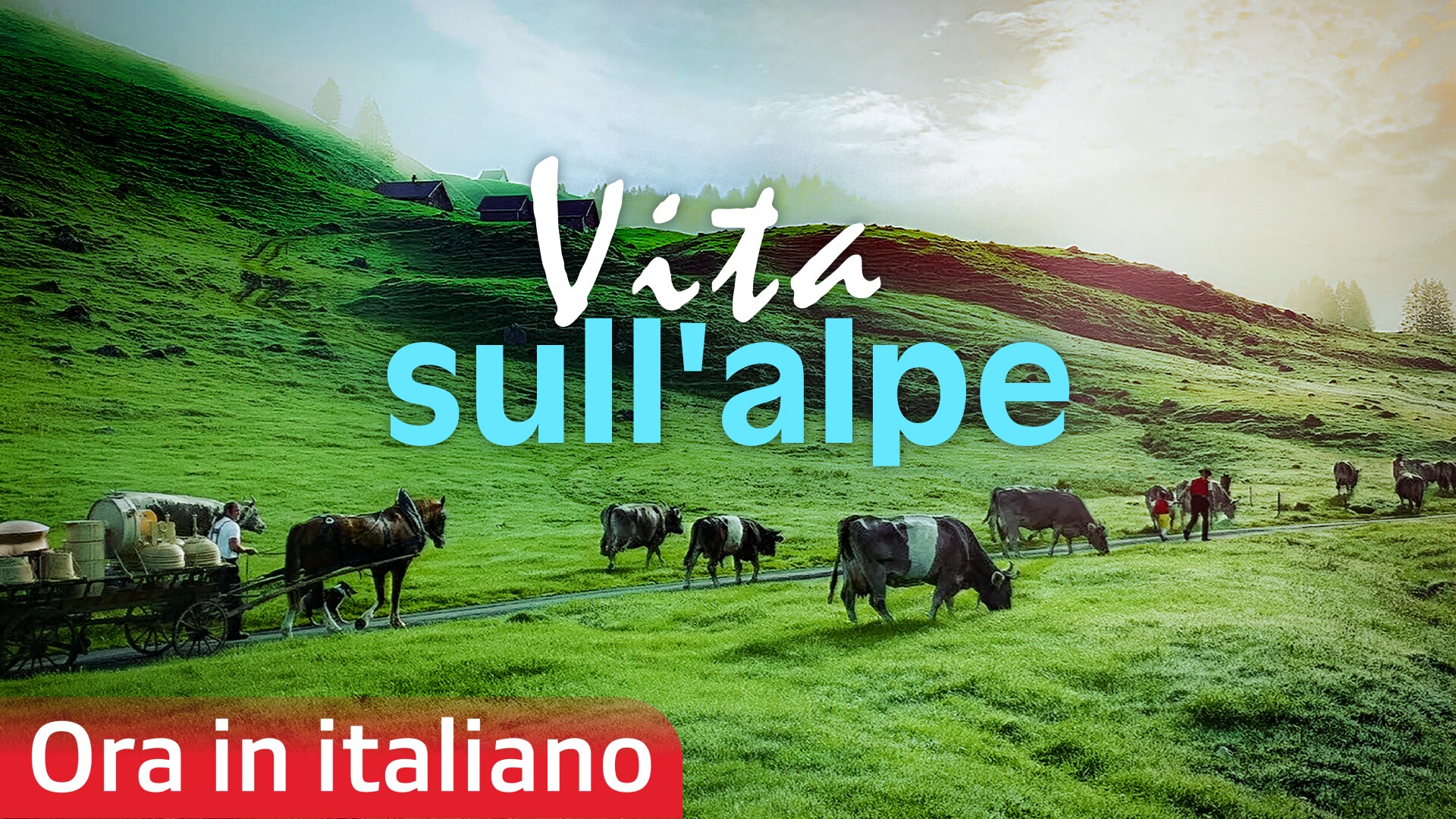 Vita sull’alpe