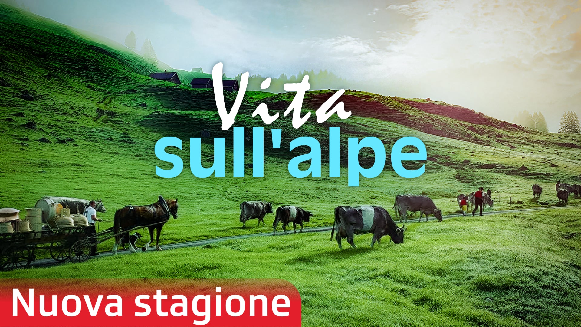 Vita sull’alpe