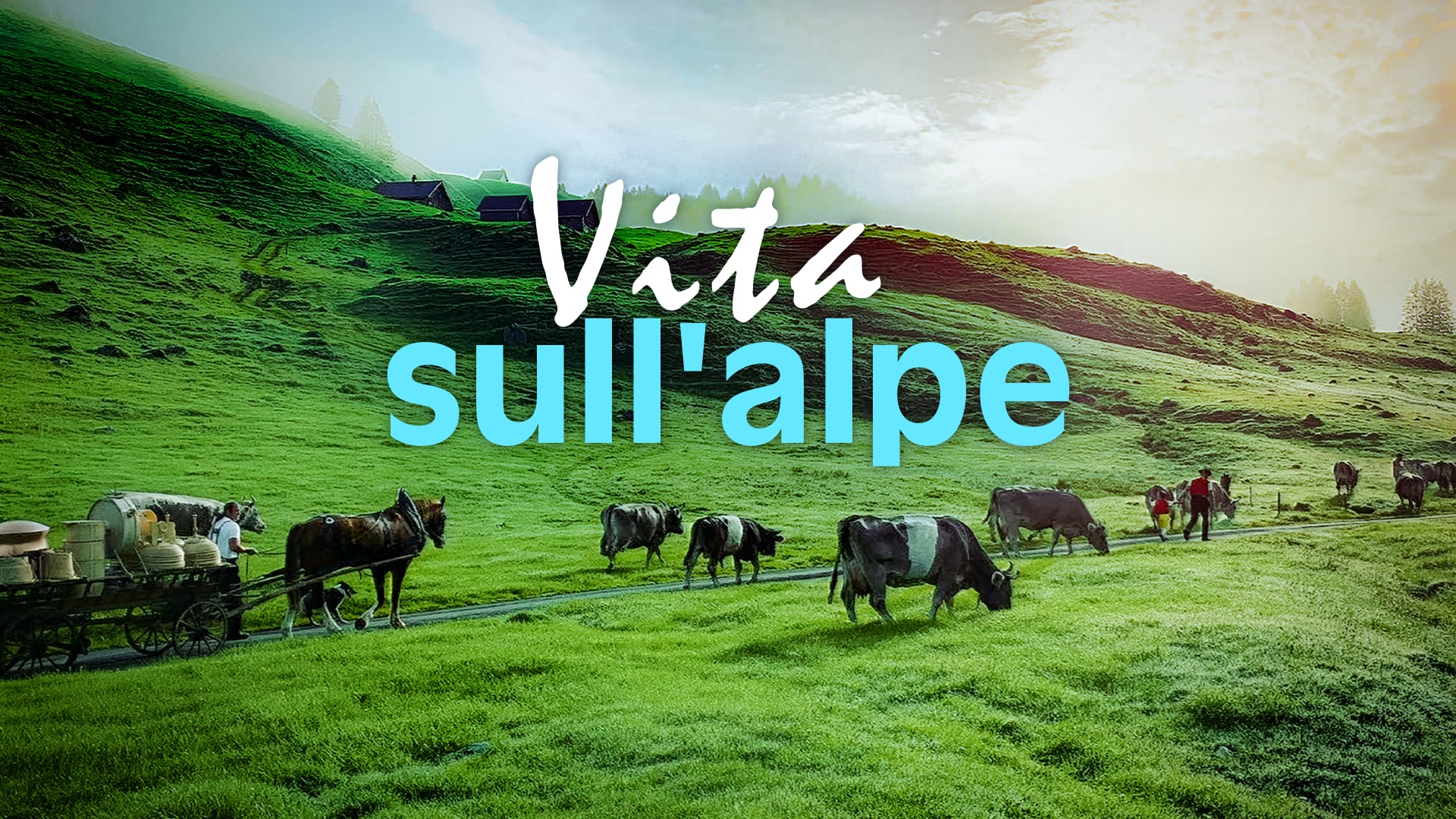 Vita sull’alpe