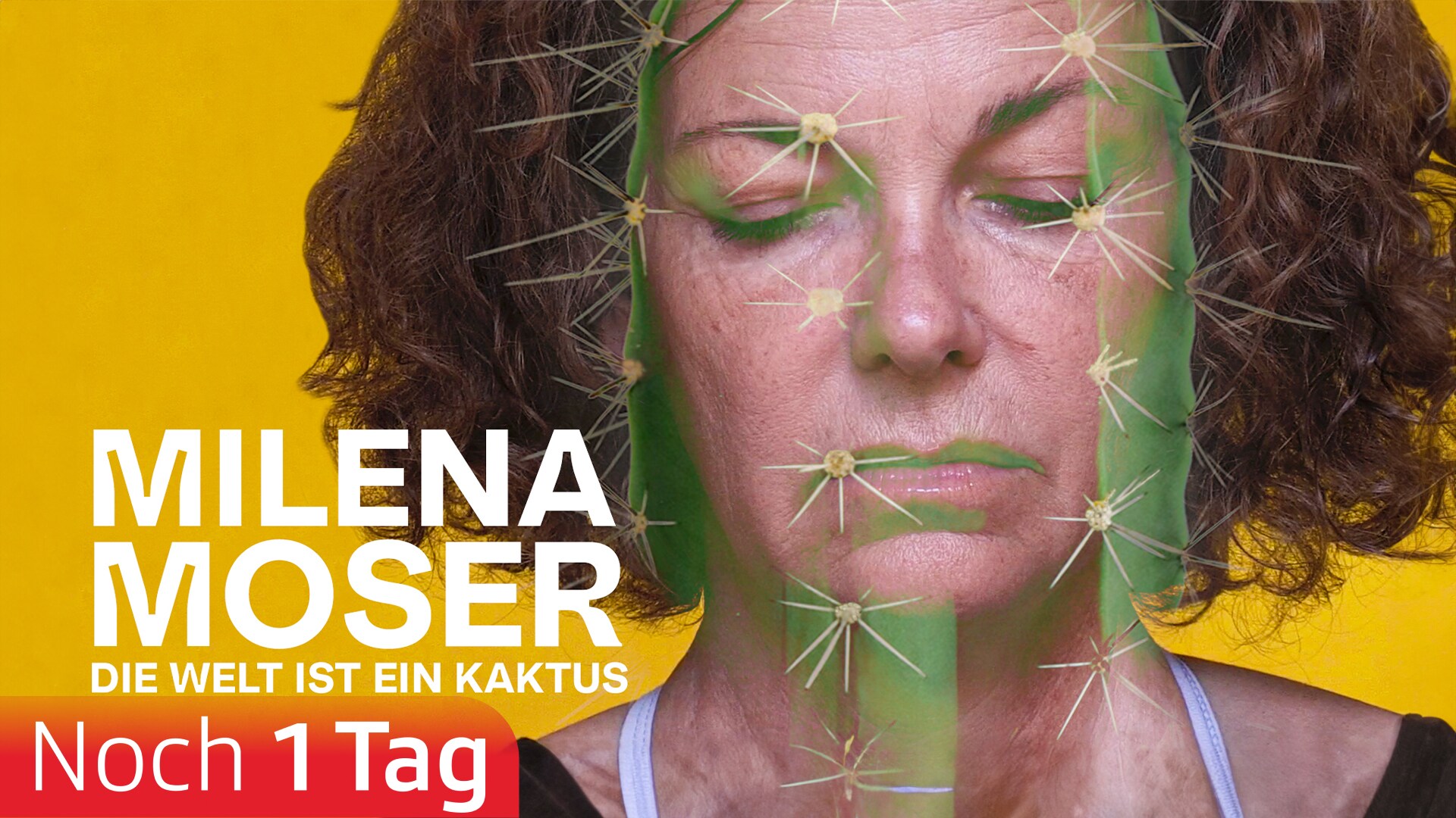 Milena Moser – Die Welt ist ein Kaktus