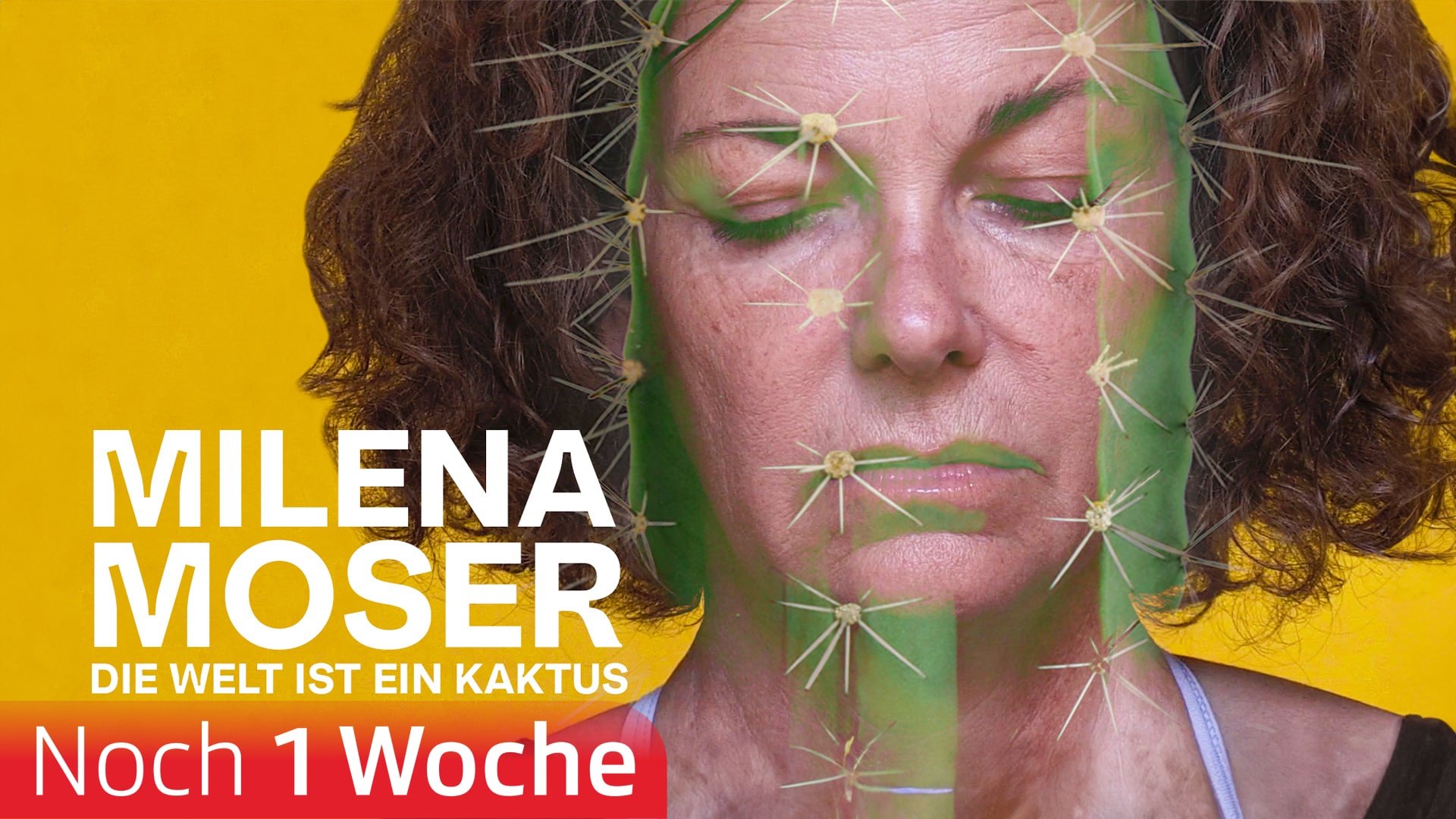 Milena Moser – Die Welt ist ein Kaktus