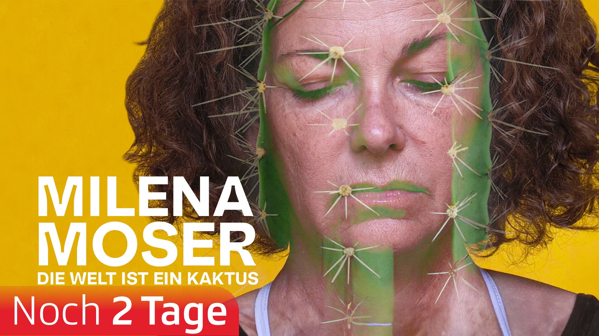 Milena Moser – Die Welt ist ein Kaktus