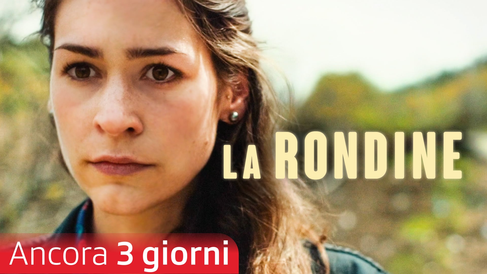 La rondine
