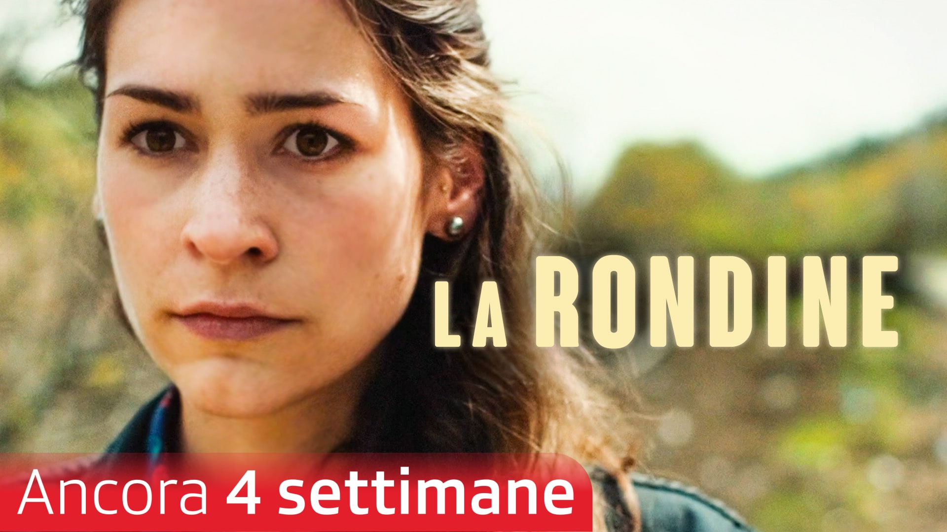 La rondine