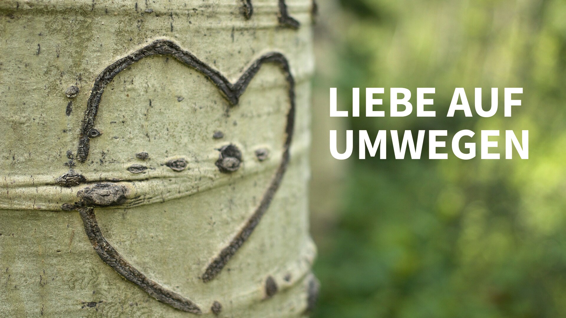 Liebe auf  Umwegen