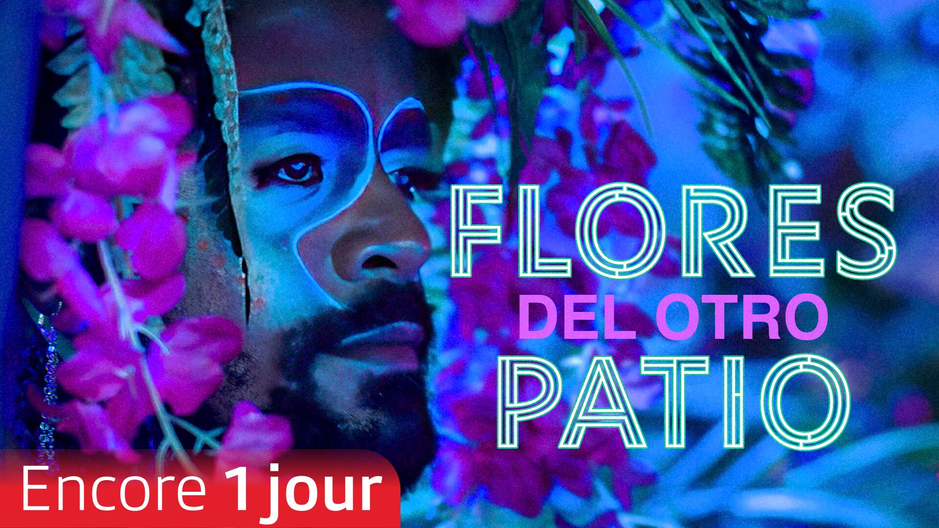 Flores del otro patio