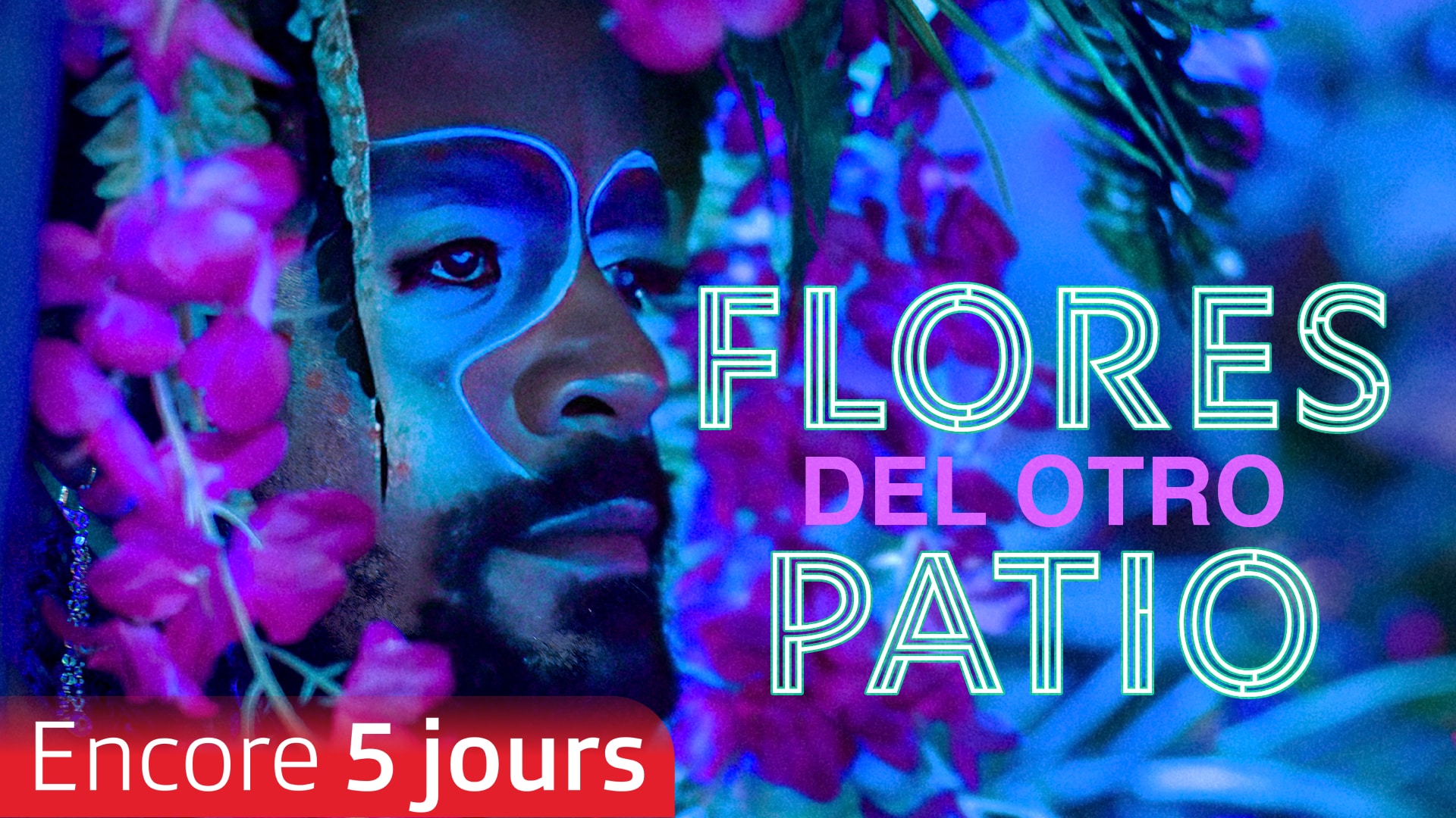 Flores del otro patio