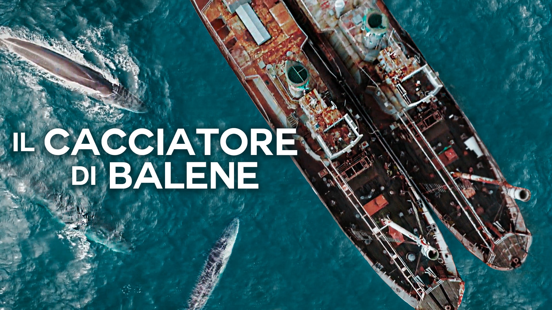 Il cacciatore di balene