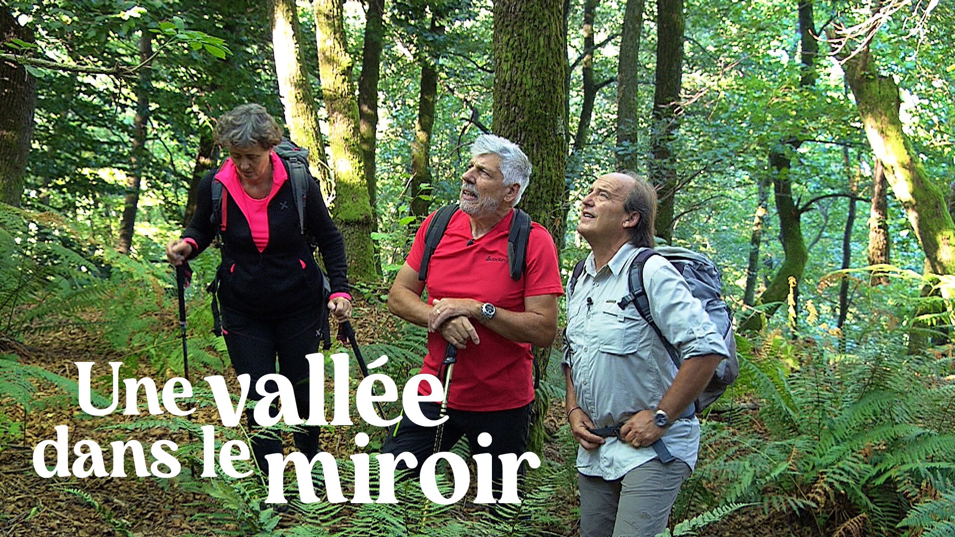 Une vallée dans le miroir