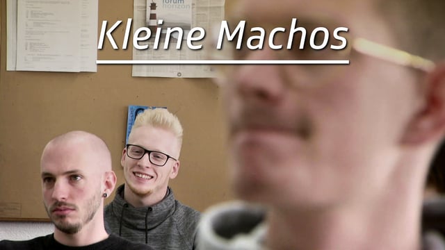 Die kleinen Machos sind zurück