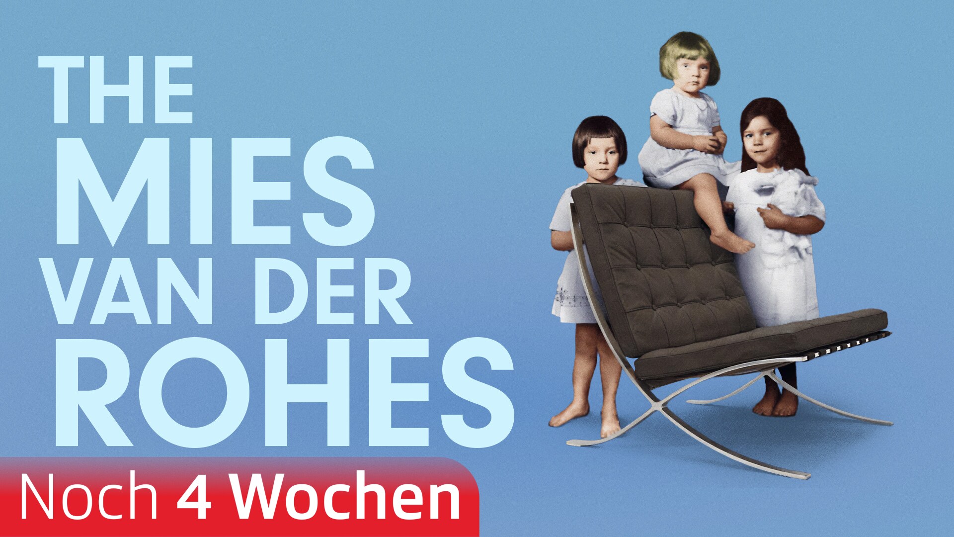 The Mies van der Rohes