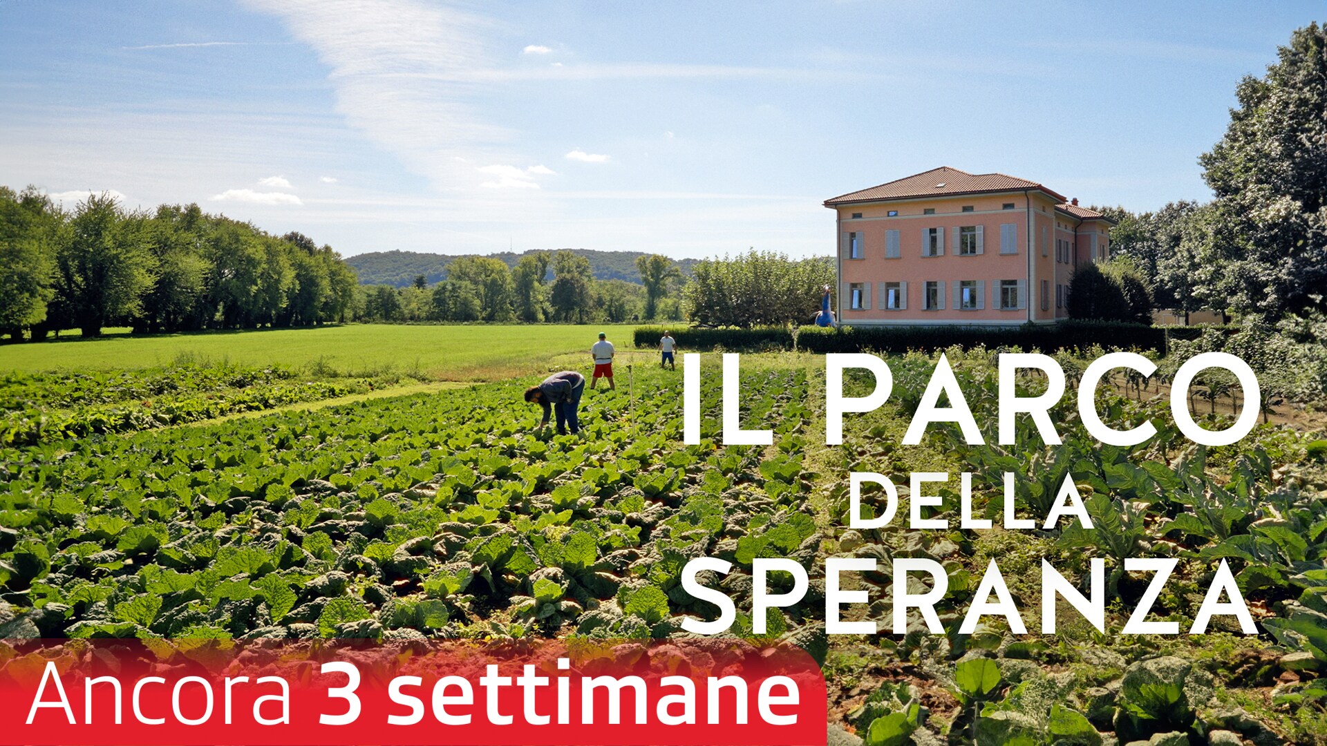 Il parco della speranza