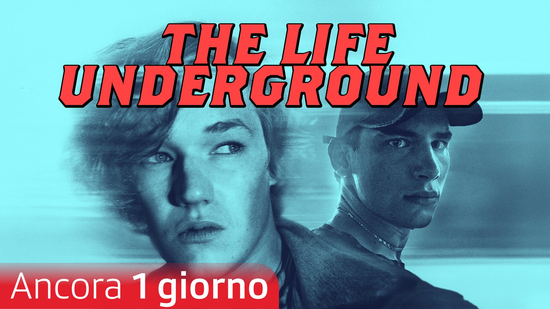 The Life Underground