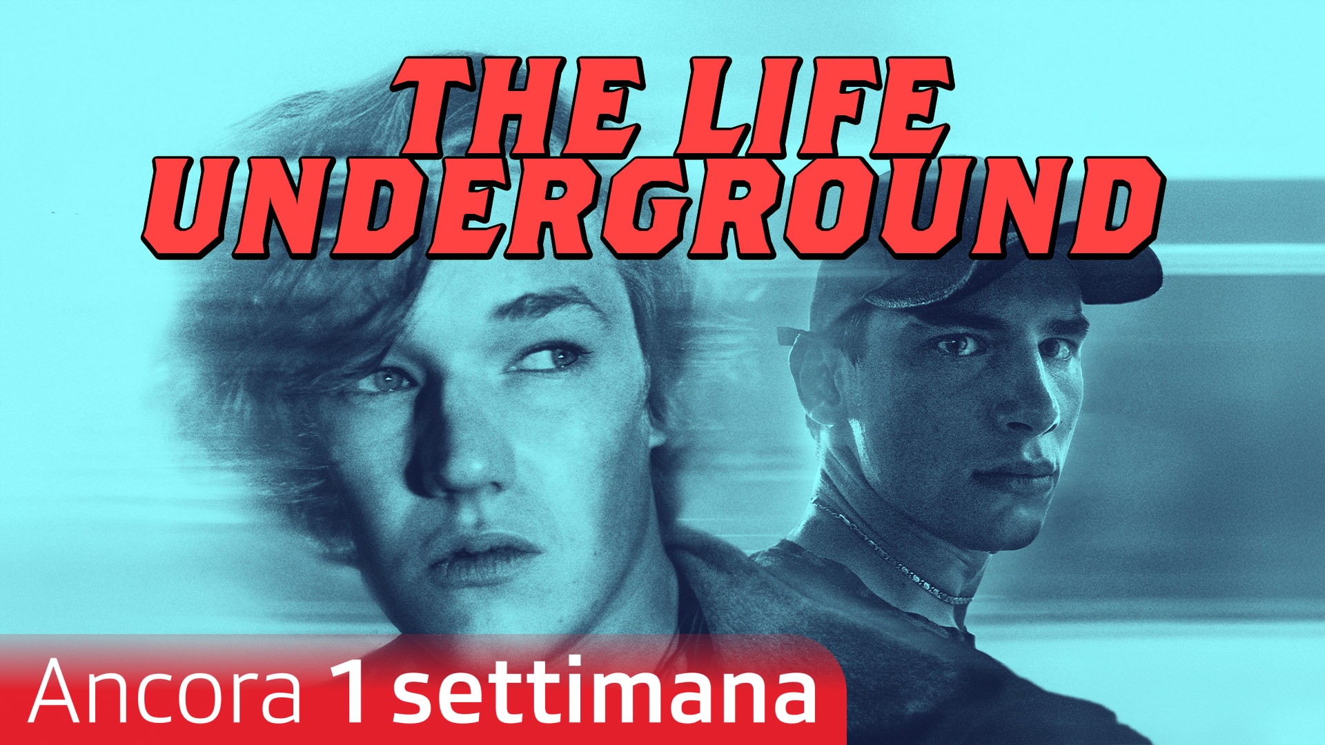 The Life Underground
