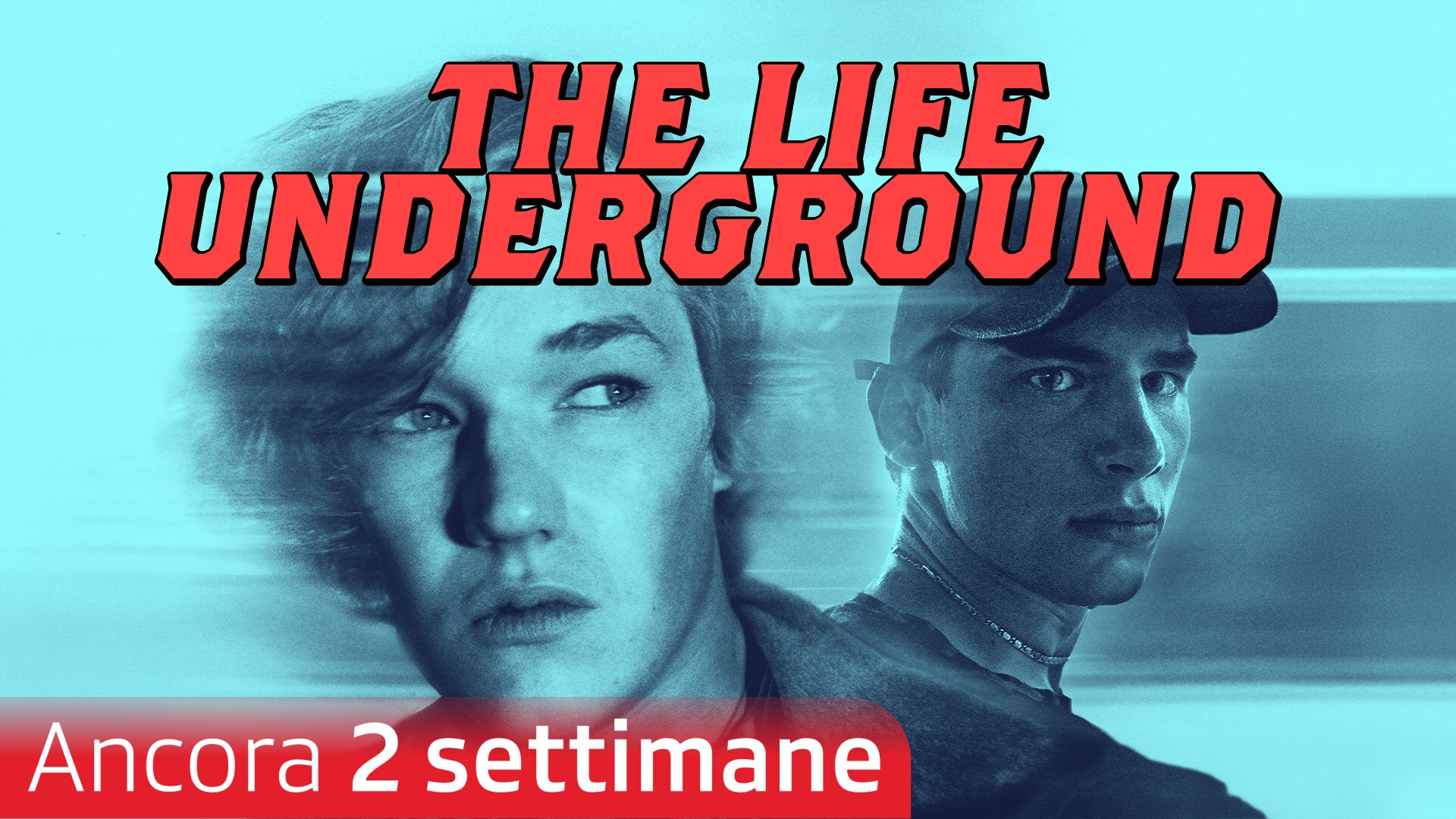 The Life Underground