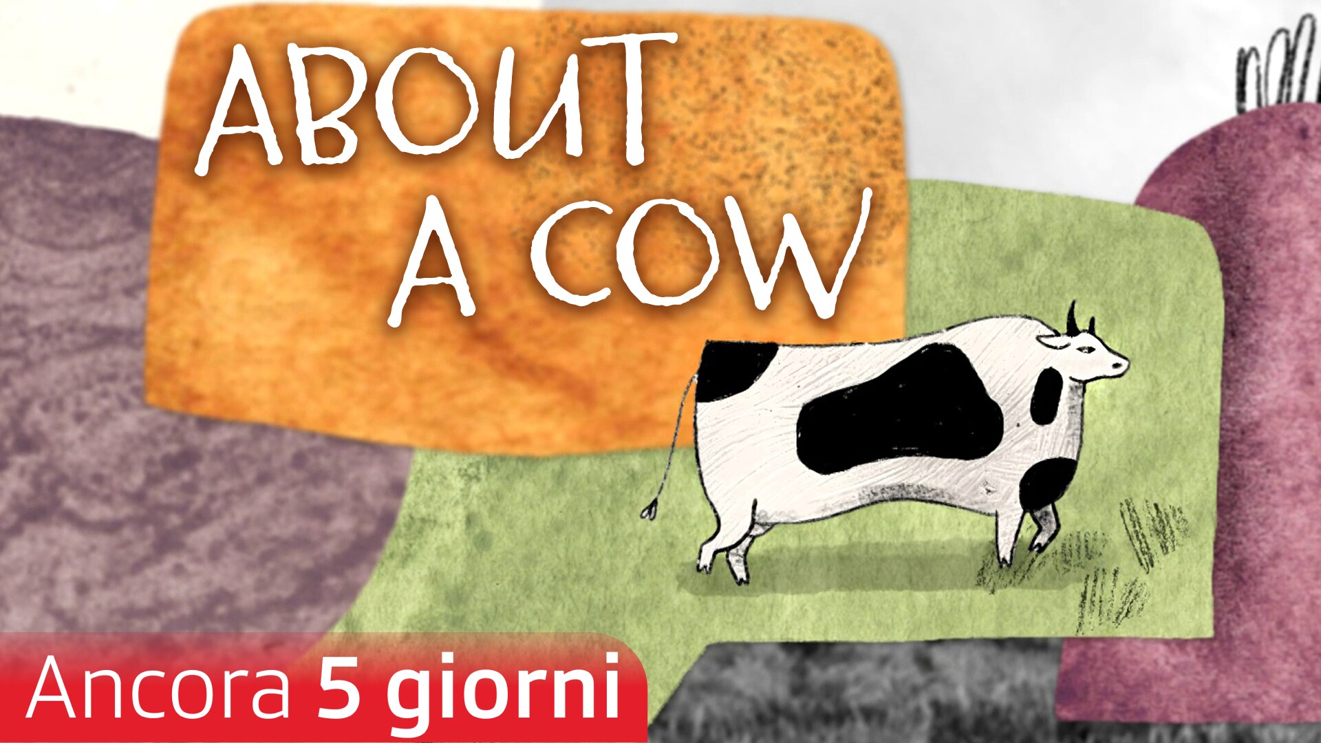 About a Cow
