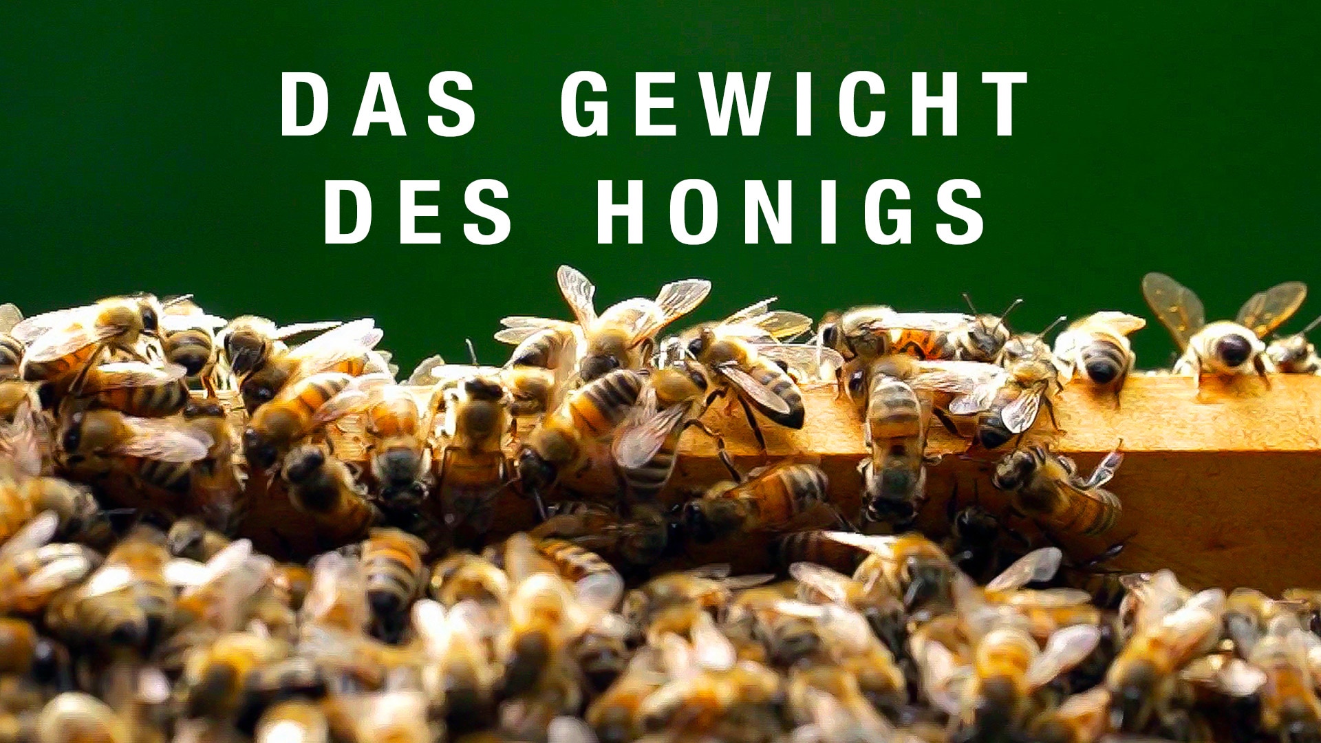 Das Gewicht des Honigs