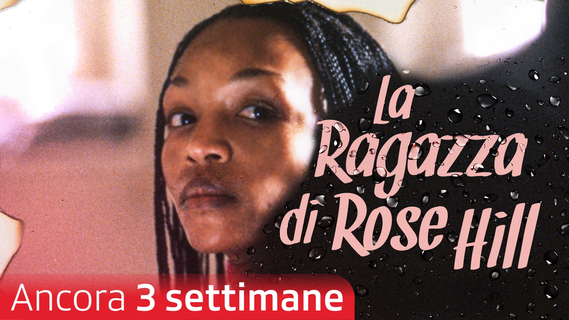 La ragazza di Rose Hill