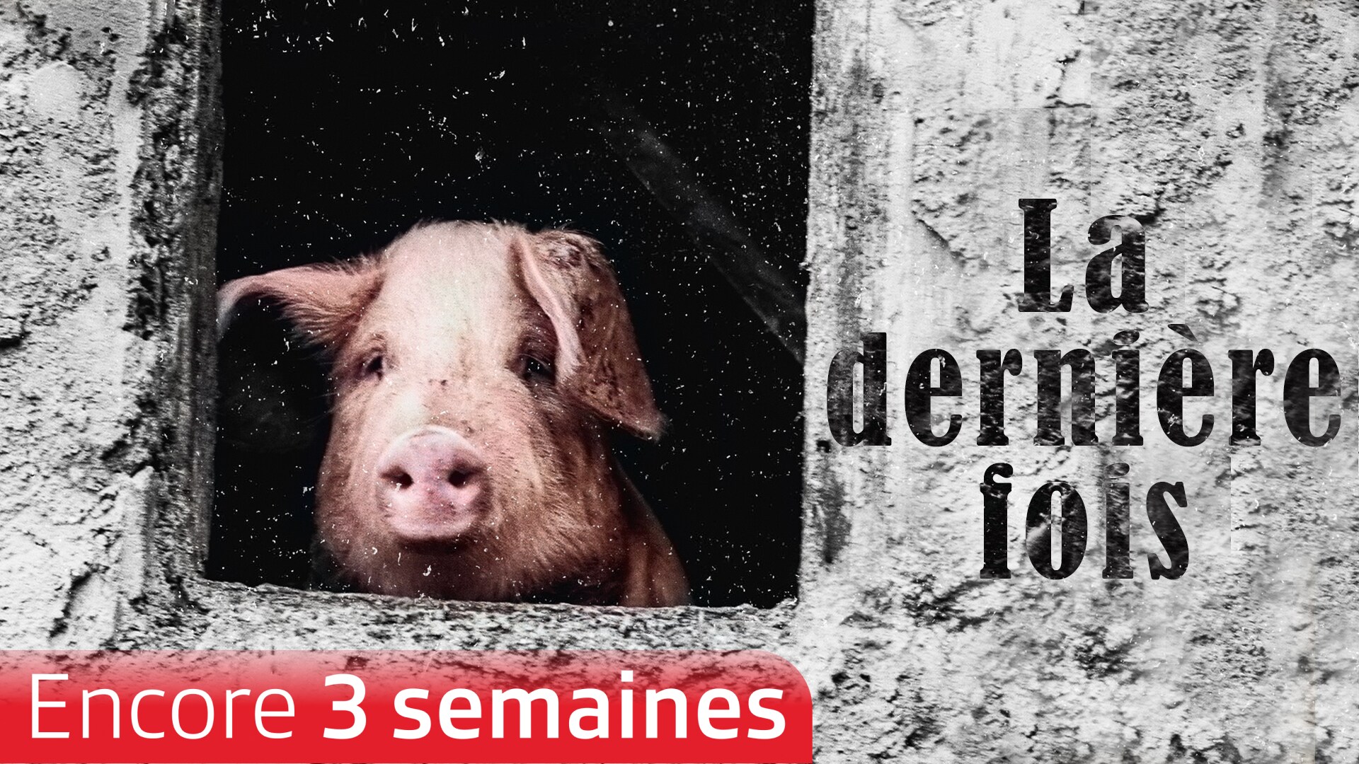 La dernière fois