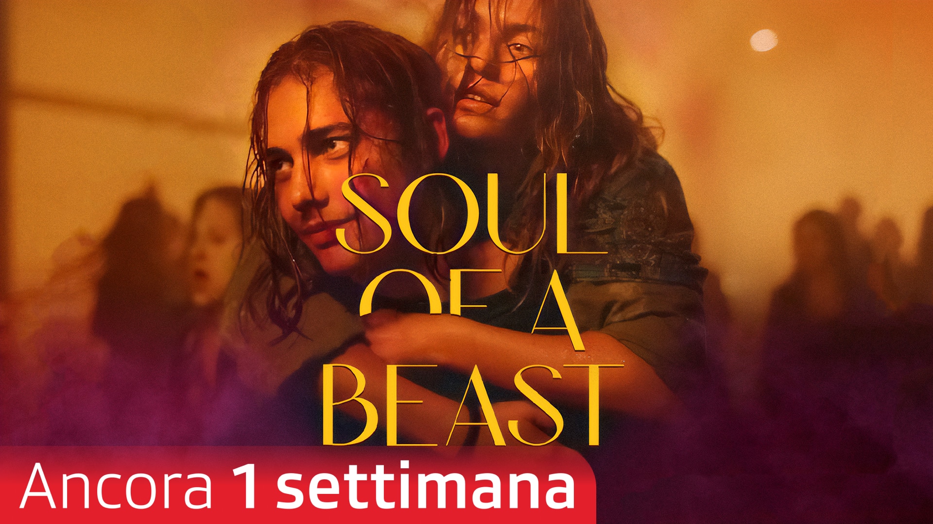 Soul of a Beast
