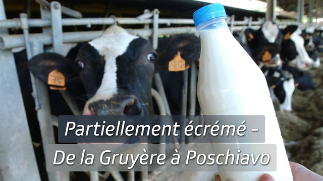 Partiellement écrémé - De la Gruyère à Poschiavo