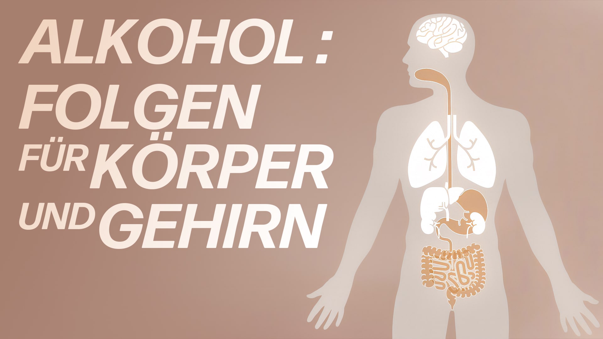 Alkohol: Folgen für Körper und Gehirn