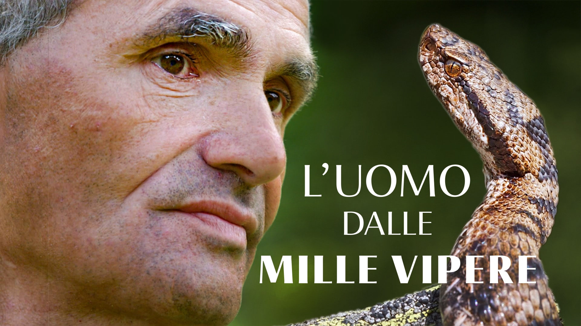 L'uomo dalle mille vipere