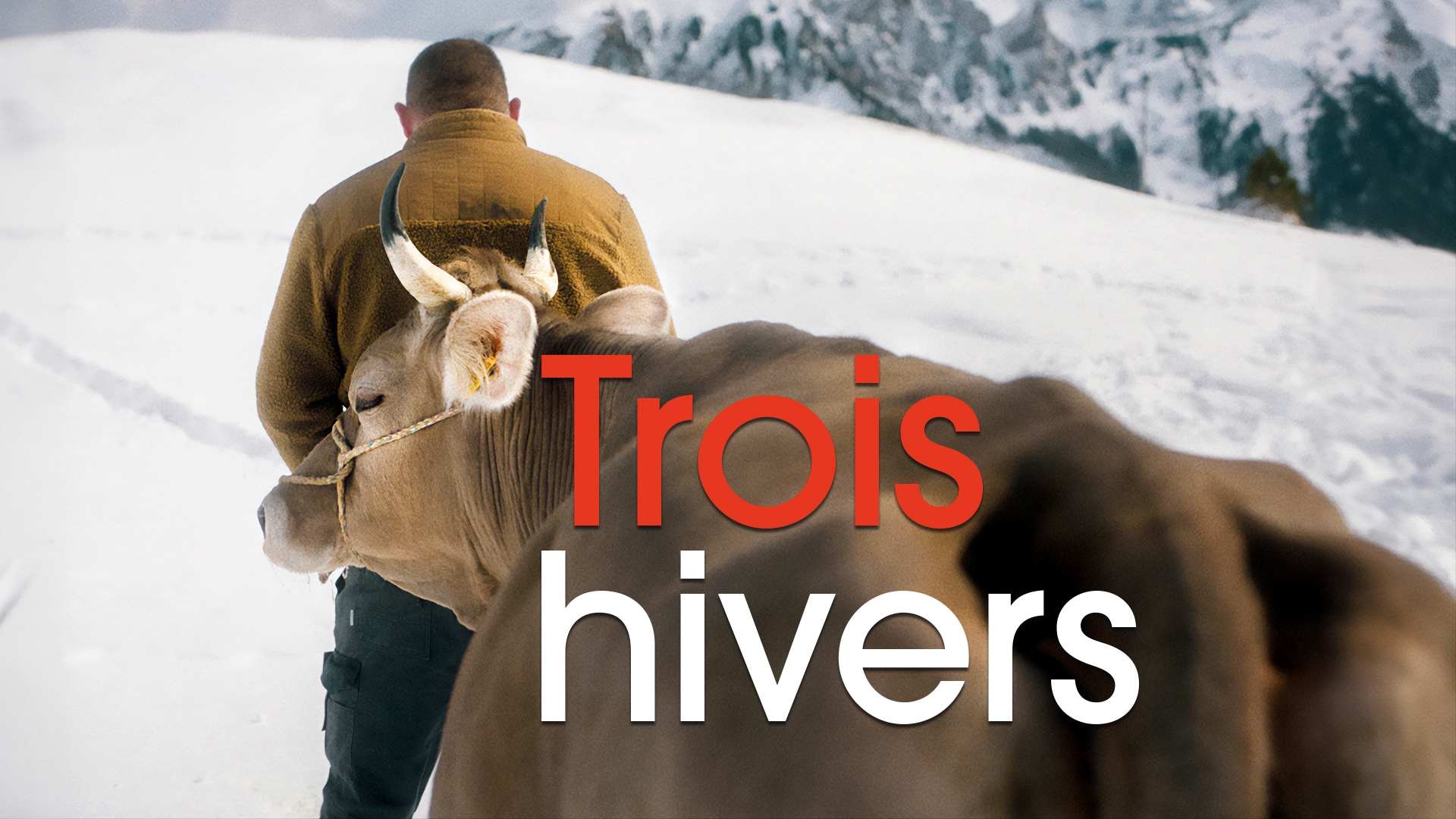 Trois hivers