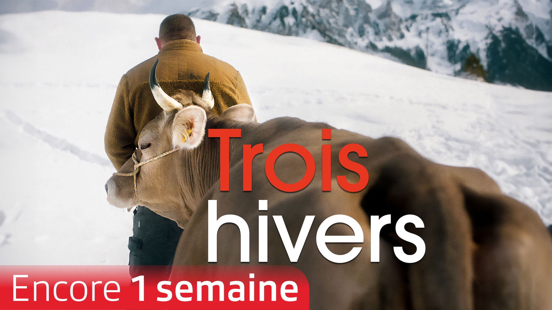 Trois hivers