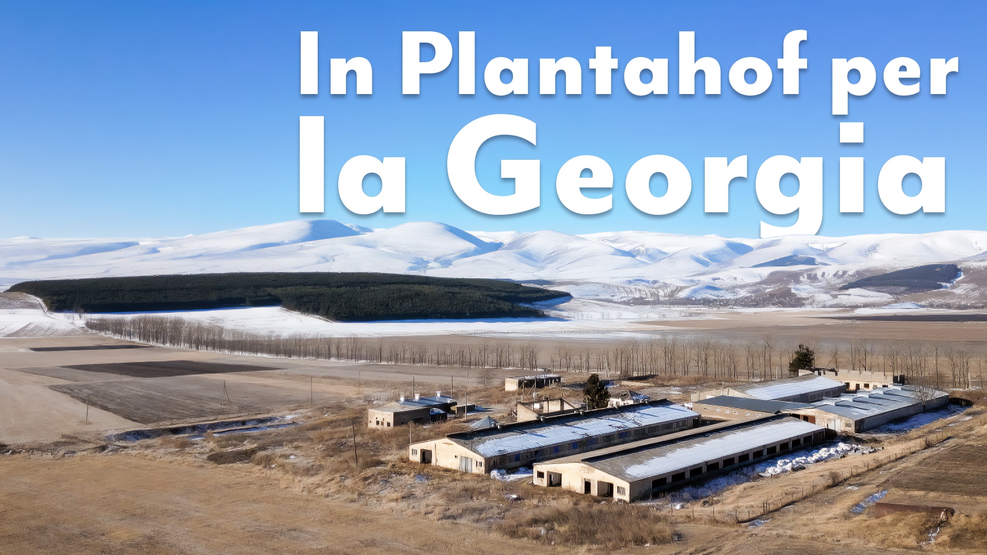 In Plantahof per la Georgia