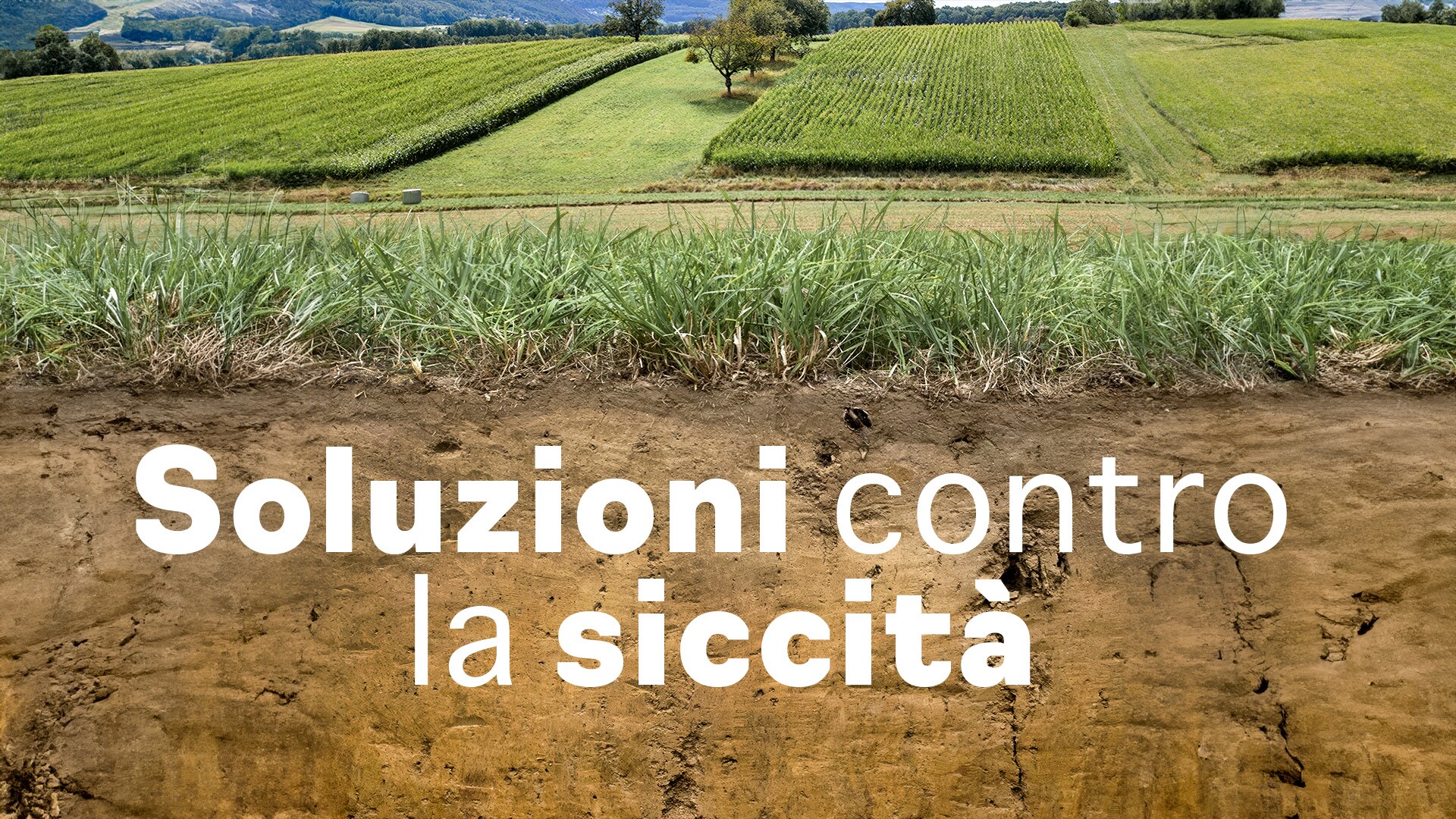 Soluzioni contro la siccità