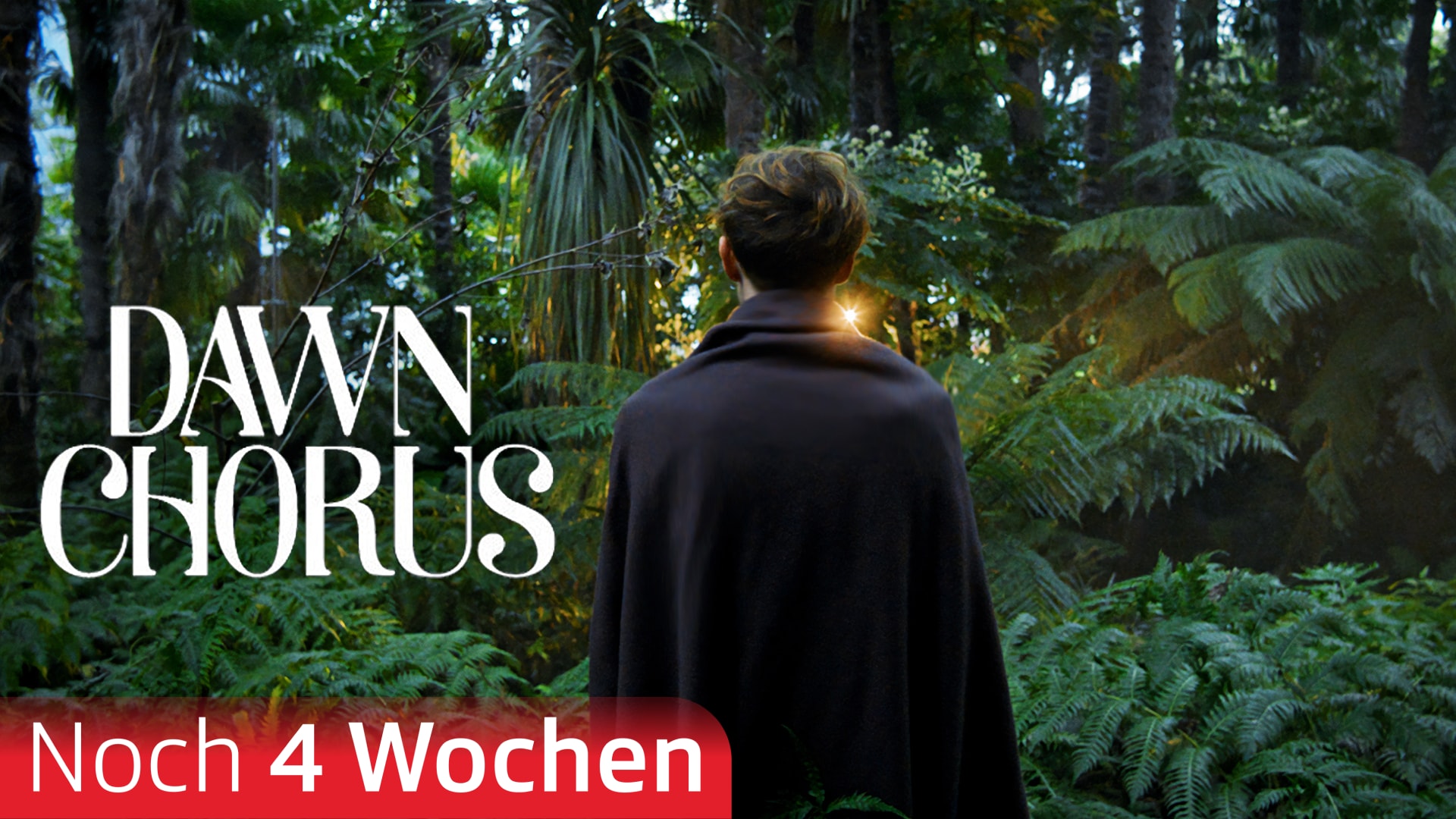 Dawn Chorus
