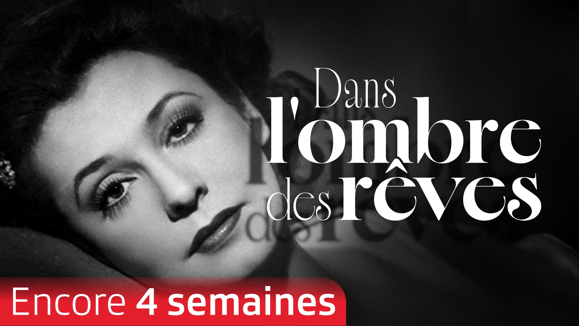 Dans l'ombre des rêves