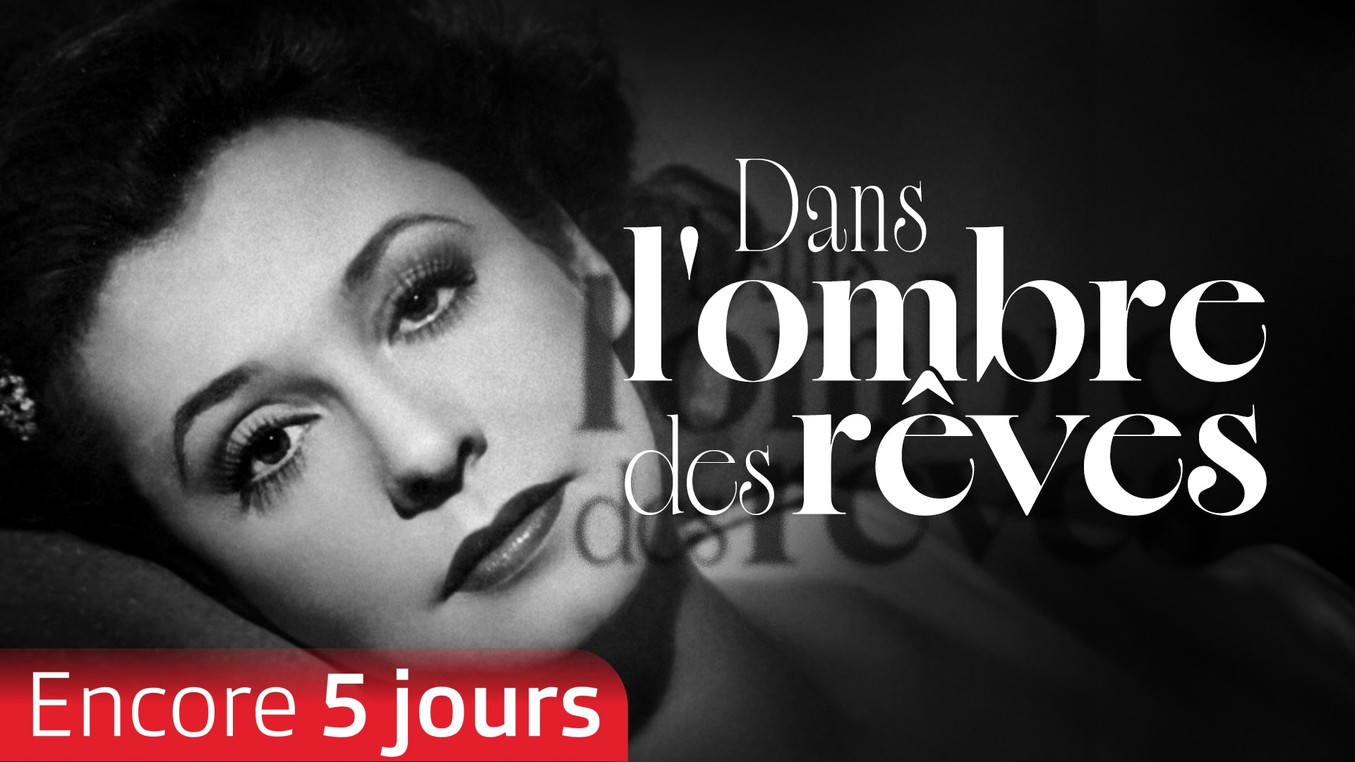 Dans l'ombre des rêves